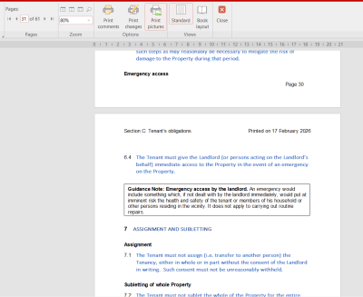 Print Preview SS.png